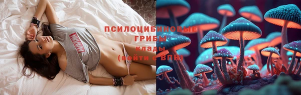 бошки Нефтекумск