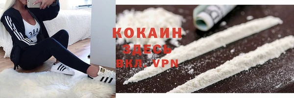 индика Волосово